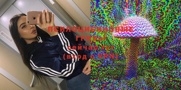 apvp Алексеевка