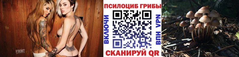 мега ссылки  Углич  Псилоцибиновые грибы GOLDEN TEACHER  хочу наркоту 